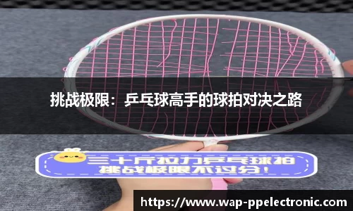 挑战极限：乒乓球高手的球拍对决之路