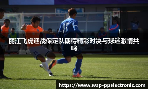 丽江飞虎迎战保定队期待精彩对决与球迷激情共鸣